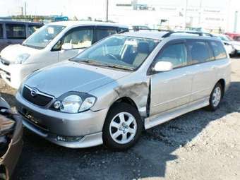 Corolla Fielder