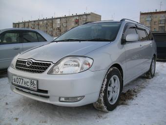 2001 Toyota Corolla Fielder