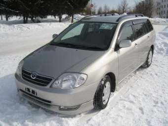 2001 Toyota Corolla Fielder Pictures