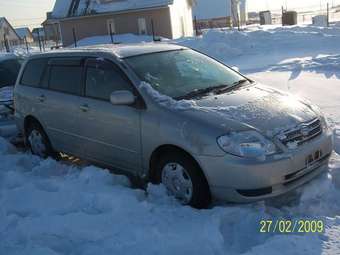 2001 Toyota Corolla Fielder Pictures