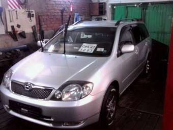 2001 Toyota Corolla Fielder