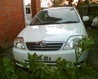 2002 Toyota Corolla Fielder