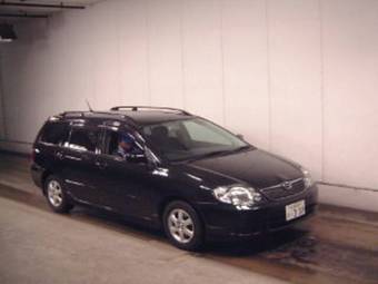 2002 Toyota Corolla Fielder