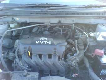 2002 Toyota Corolla Fielder