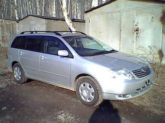 Toyota Corolla Fielder