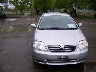 2002 Toyota Corolla Fielder Photos