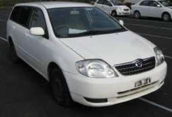 2002 Toyota Corolla Fielder Photos