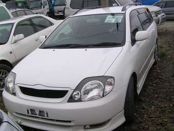 2002 Toyota Corolla Fielder Pictures