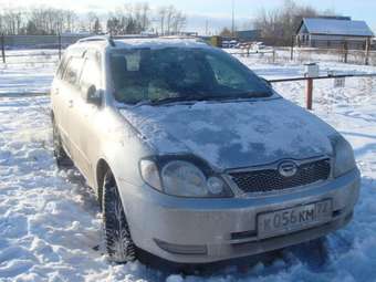 2002 Toyota Corolla Fielder Photos