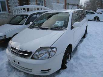 2002 Toyota Corolla Fielder Photos