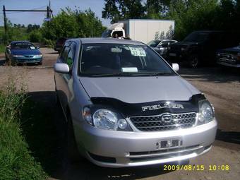 2002 Toyota Corolla Fielder Photos