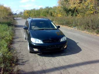 2002 Toyota Corolla Fielder Pictures