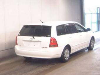 Corolla Fielder