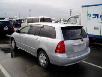 Corolla Fielder