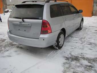 Corolla Fielder