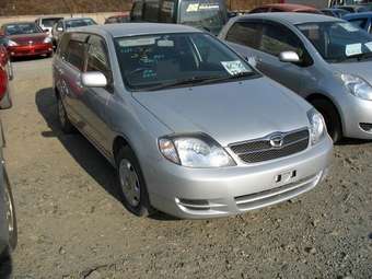 Corolla Fielder