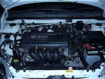 Corolla Fielder