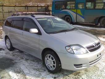 Corolla Fielder