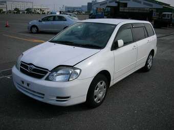 Corolla Fielder