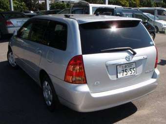 Corolla Fielder