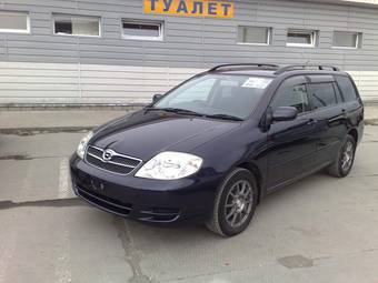 2003 Toyota Corolla Fielder Pictures