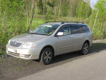 2003 Toyota Corolla Fielder Photos
