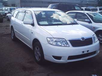 Corolla Fielder