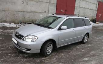 Corolla Fielder