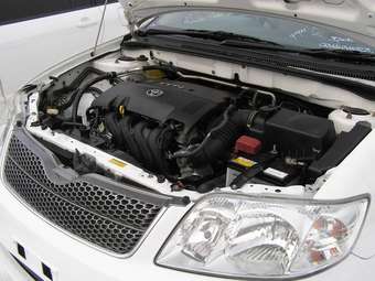 Toyota Corolla Fielder