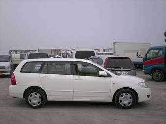 Corolla Fielder