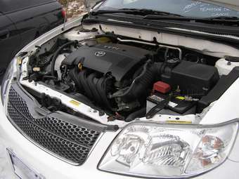Toyota Corolla Fielder