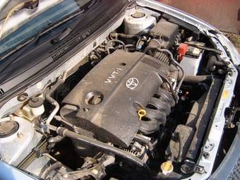 2004 Toyota Corolla Fielder Photos