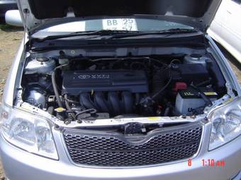 2004 Toyota Corolla Fielder Pictures