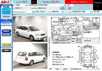 Corolla Fielder