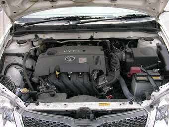 Corolla Fielder