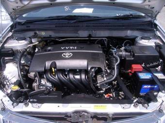 2006 Toyota Corolla Fielder Images