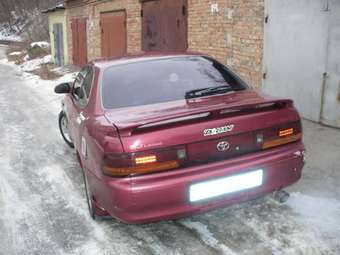 Corolla Levin