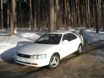 1993 Toyota Corolla Levin