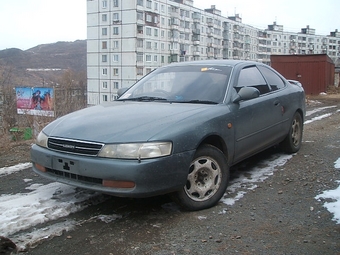 Corolla Levin