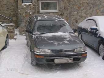 1993 Toyota Corolla Levin