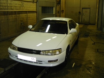 Corolla Levin