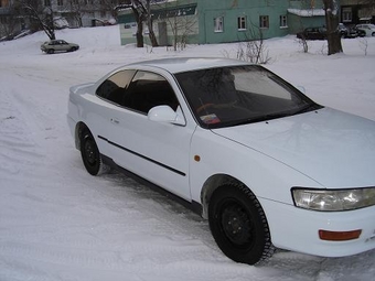 Corolla Levin