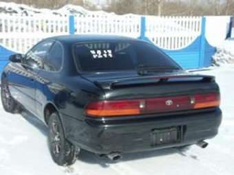 Corolla Levin