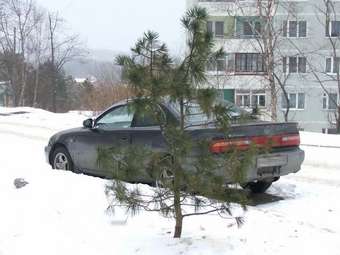 1994 Corolla Levin