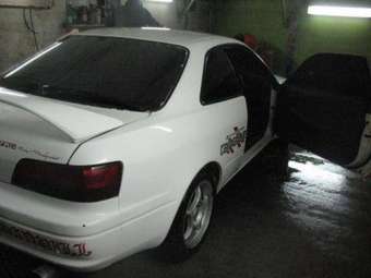 Corolla Levin