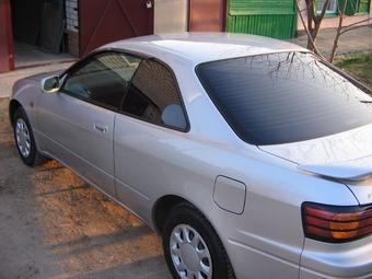 Corolla Levin