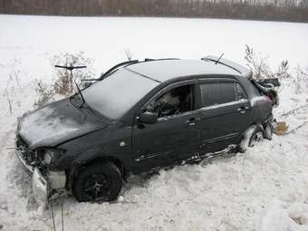 Corolla Runx