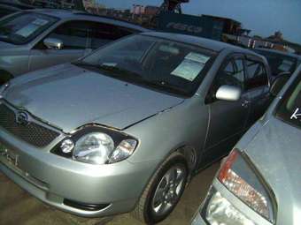 Toyota Corolla Runx