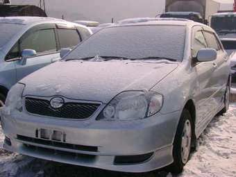 2002 Toyota Corolla Runx