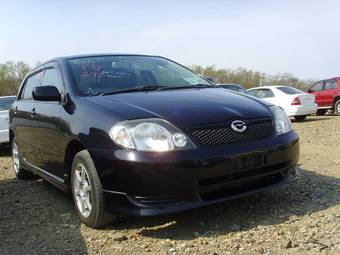 2002 Toyota Corolla Runx Pictures